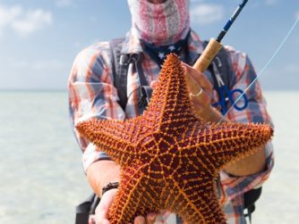 Abaco Lodge - Bahamas bonefishing