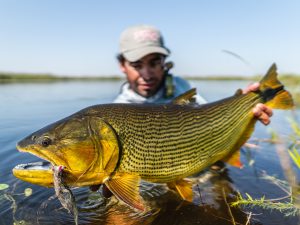 Abaco Island Fishing Adventures