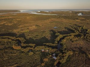 Fishing and Nature at Abaco