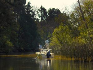 Abaco Hotel and Fishing in the Bahamas