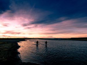 Aquatic Adventures in Abaco