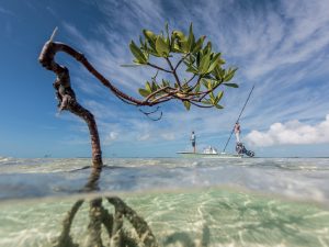 Capturing Moments at Abaco