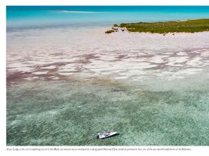 Fishing in Abaco Paradise