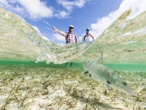 Pesca en el Paraíso de Abaco