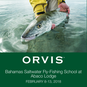 Sportfishing in Abaco, Bahamas