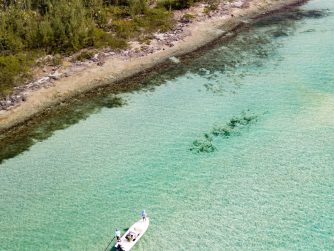 Fishing Wonders in Abaco
