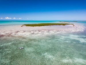 Wonders of Abaco Fishing