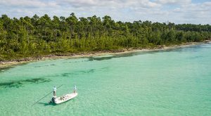 Explore Abaco, Bahamas, through Fishing