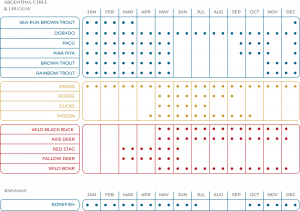 Capturing Abaco: Fishing Moments
