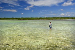 Explore Abaco, Bahamas, through Fishing