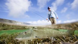 Underwater Adventures at Abaco