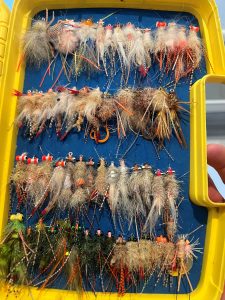 Fishing at Abaco Paradise